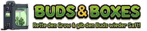 Buds & Boxes